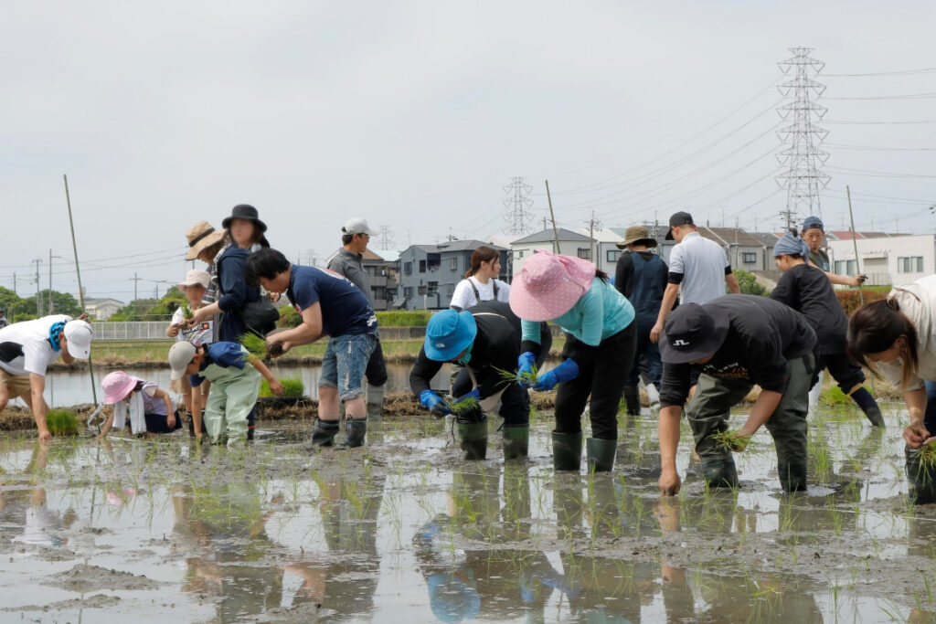 てつじの酒ー2025年5月田植えイベント