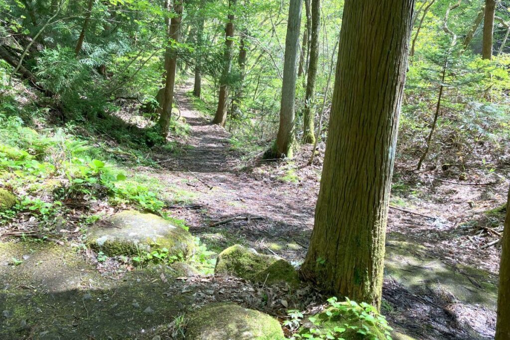 散策路