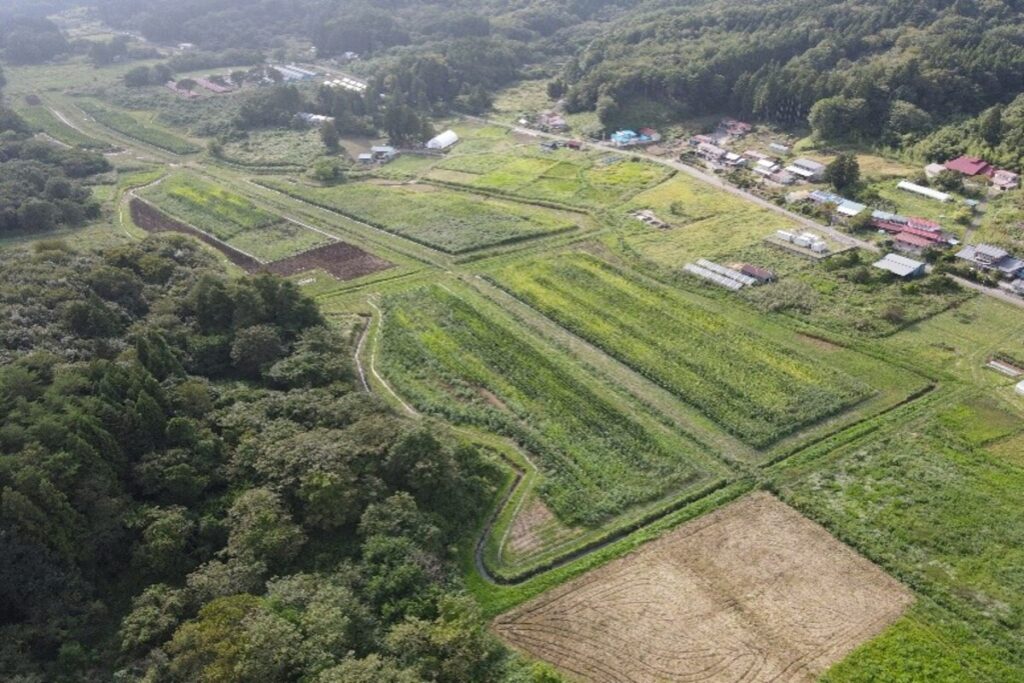 農場の全景