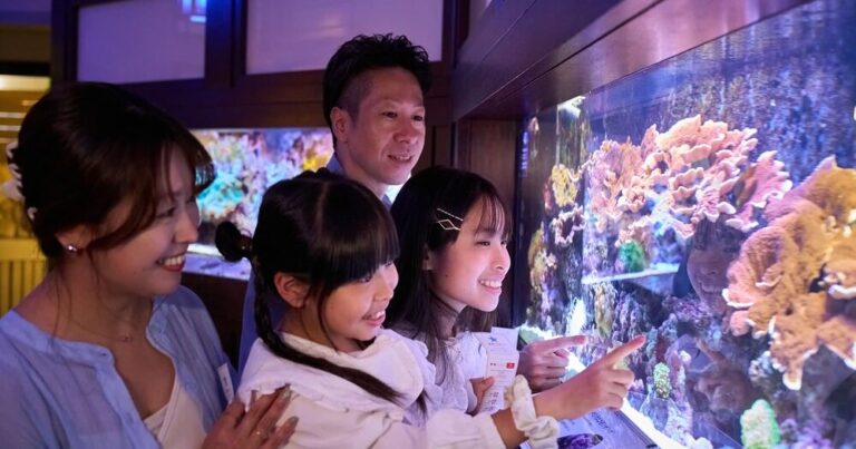 横浜中華街の「横浜開運水族館 フォーチュンアクアリウム」でおみくじ体験！飼育員さんに聞く癒しと工夫の裏側