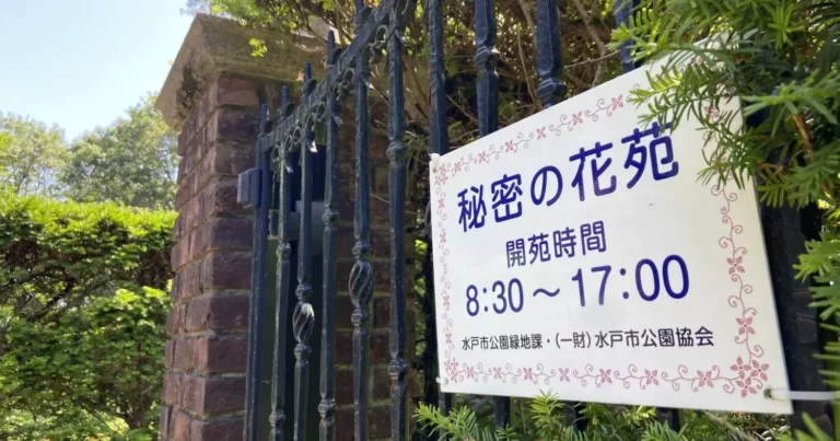 秘密の公園、Ｄ７ ～タイムスリップ・ブルース～