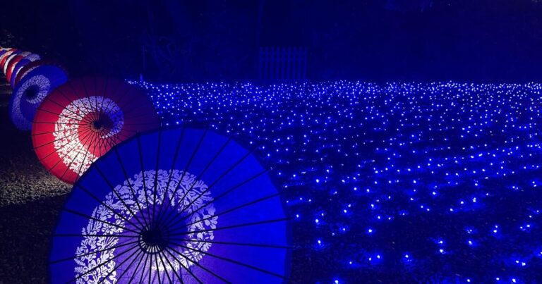 大宮氷川神社で夜空と光のコラボレーションイベント｜七夕に幻想的な境内で非日常を愉しむ