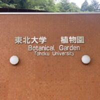 昭和33年設立！美しい自然と動物が見られる「東北大学植物園」