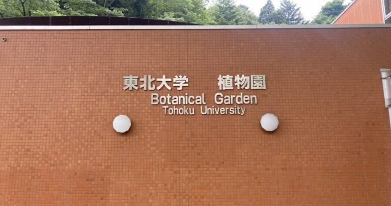 昭和33年設立！美しい自然と動物が見られる「東北大学植物園」
