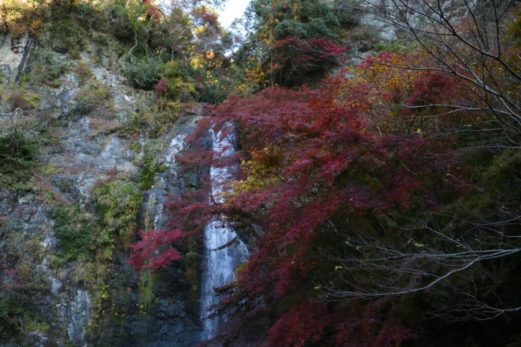 ポルシェゲート――紅葉と箕面大滝の写真