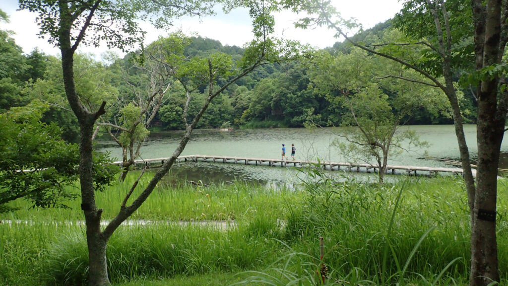 遊歩道