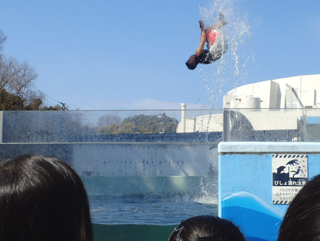 ジャンプまで披露