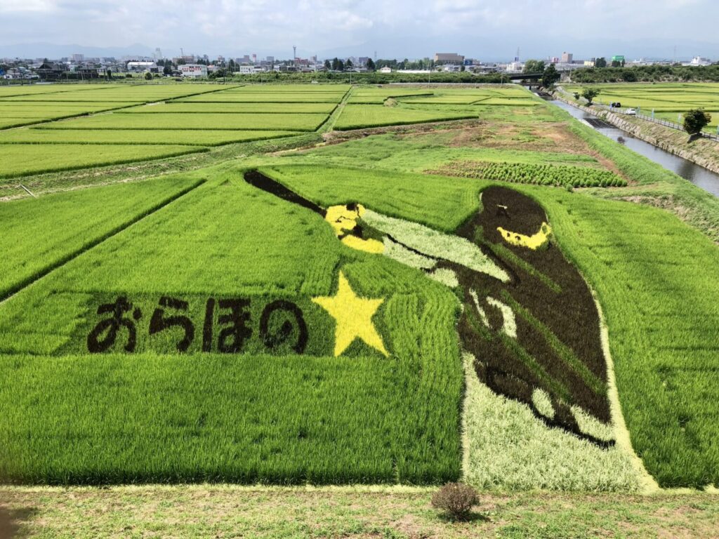 大谷選手が初登場した2018年の田んぼアート（撮影：松本鹿介）