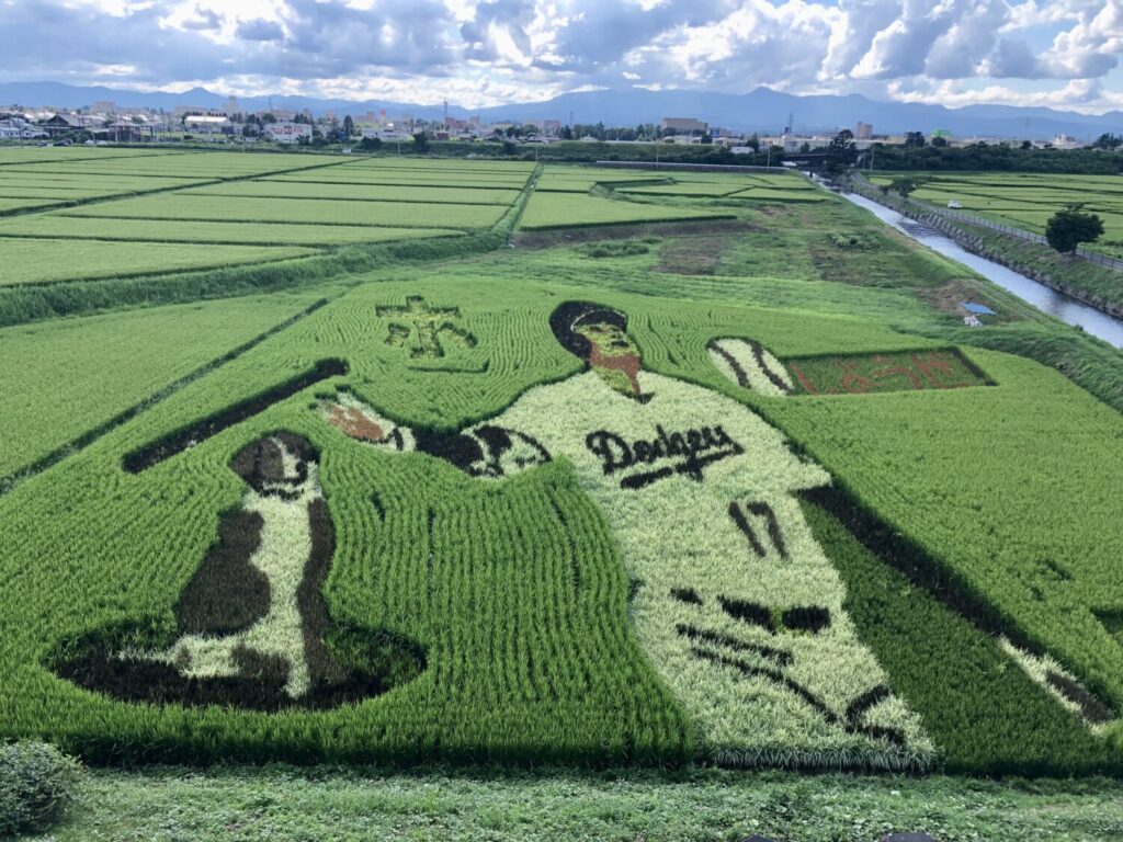 2024年「野球しようぜ！」編（撮影：松本鹿介）