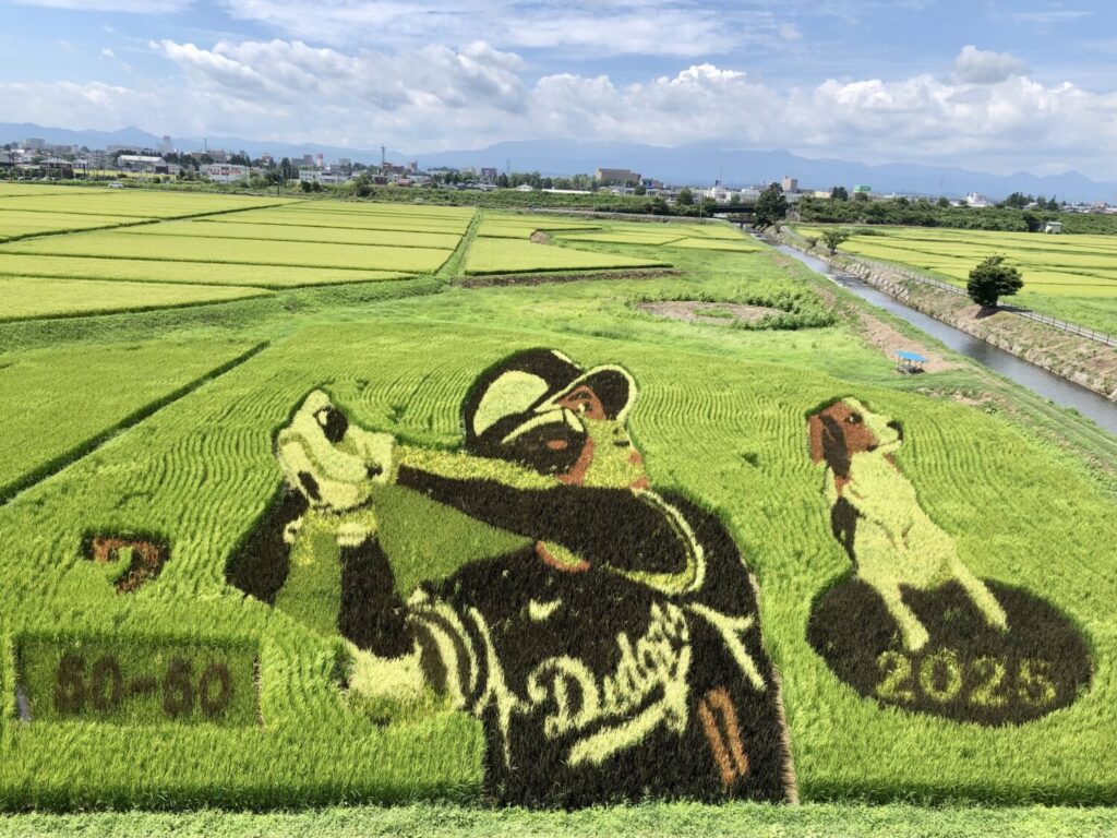 撮影：松本鹿介