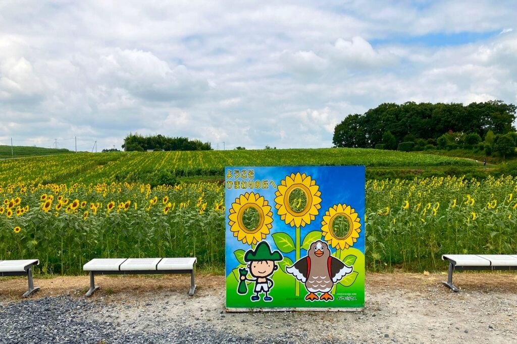 ひまわりの花の中に顔を入れて記念撮影できる、人気のフォトスポット