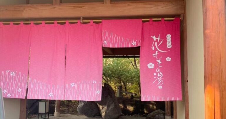 飯坂の日帰り温泉！バイキングも楽しめる「いいざか花ももの湯」