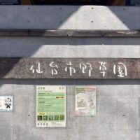 杜の都の隠れたオアシス！宮城県・東北地方の野生植物が豊富な「仙台市野草園」
