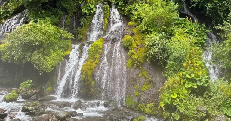 山梨・北杜市「吐竜の滝」｜静かな癒しのひんやり時間を楽しむ旅
