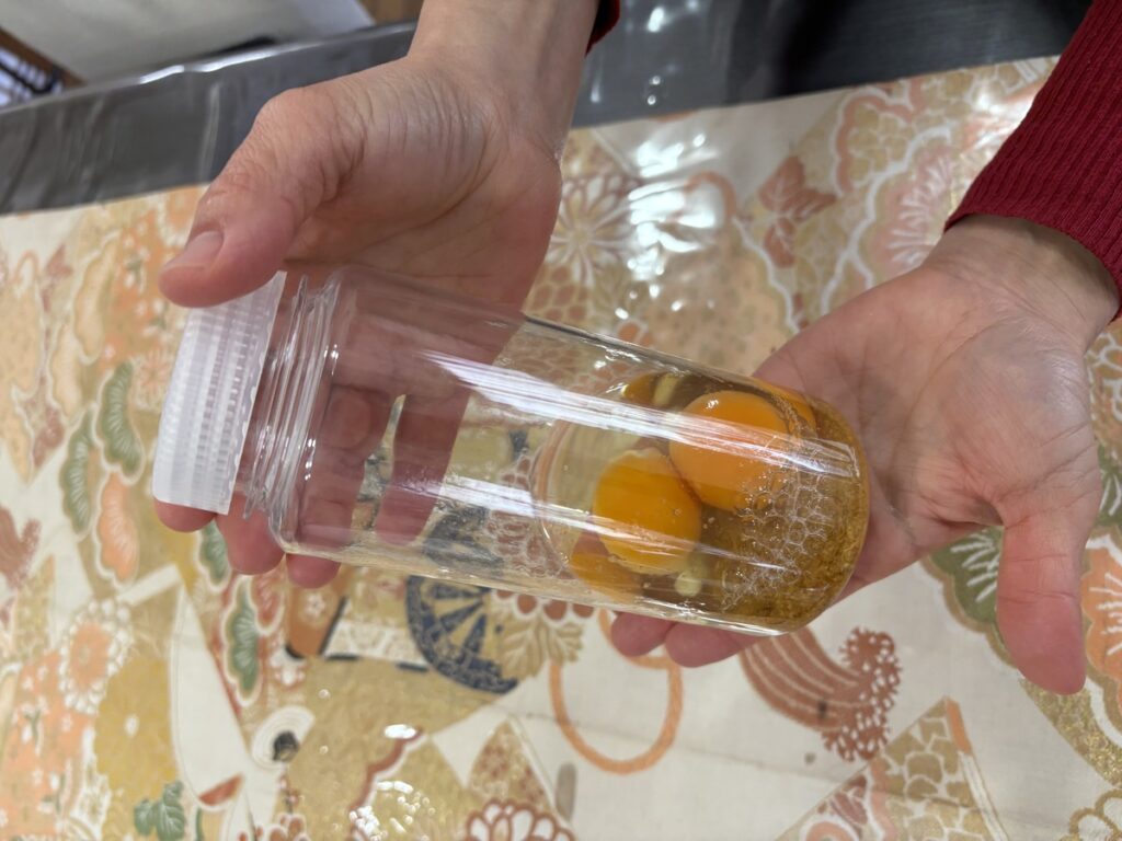 湯村温泉、新湯プリン体験