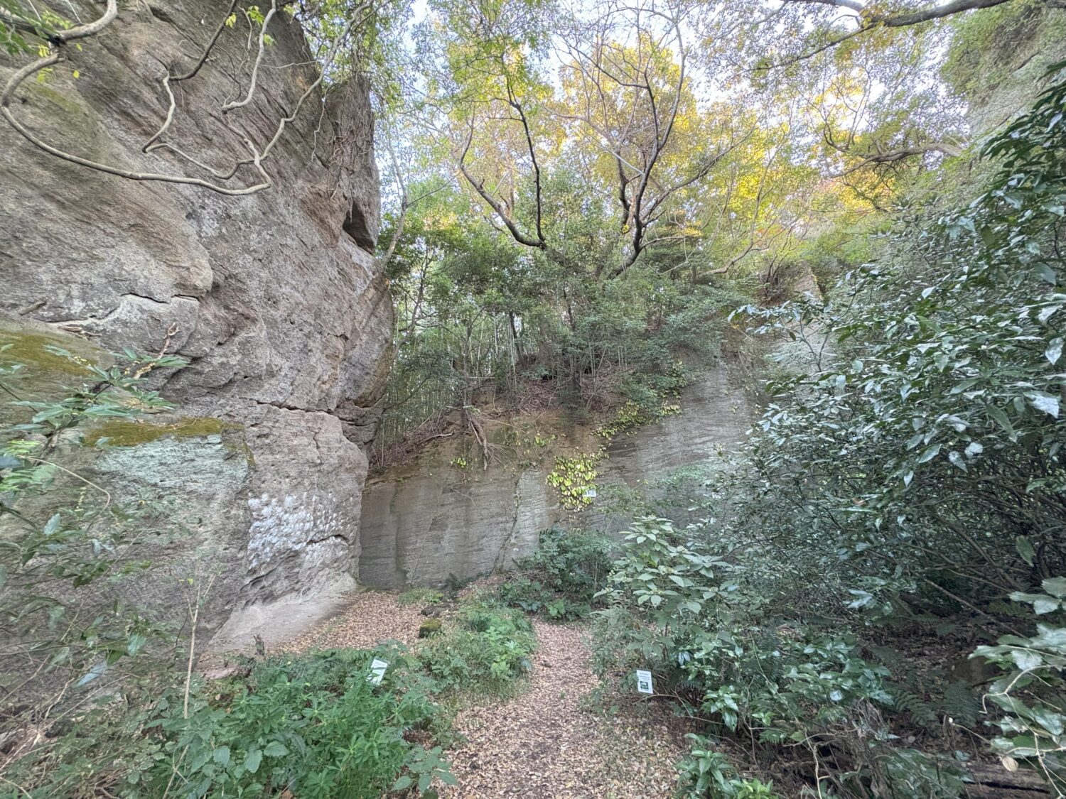 圧巻の岩壁