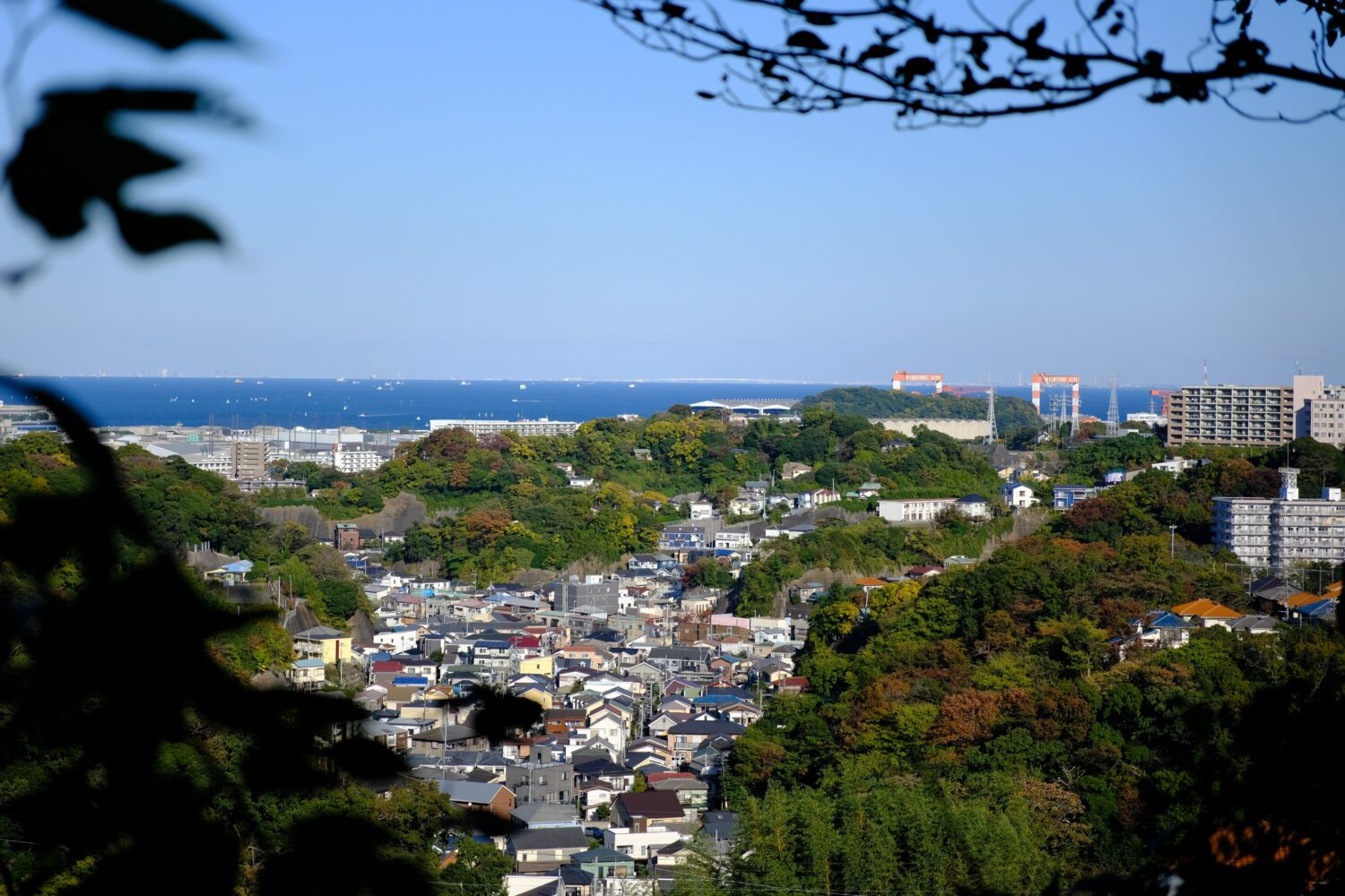 木漏れ日の先には海が