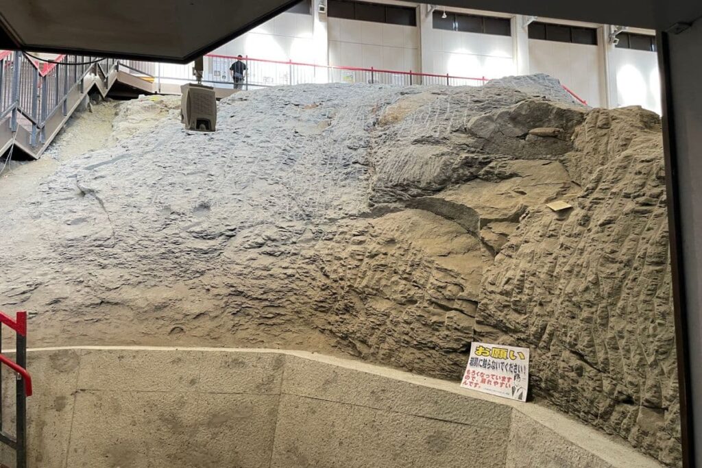 いわき市アンモナイトセンターの館内入口