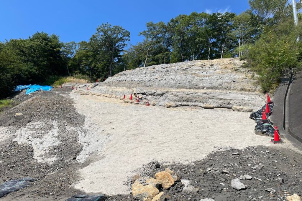 いわき市アンモナイトセンター体験発掘現場