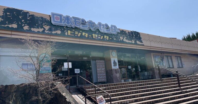 愛知の穴場スポット！日本モンキーセンターでかわいい猿とふれあおう|犬山市