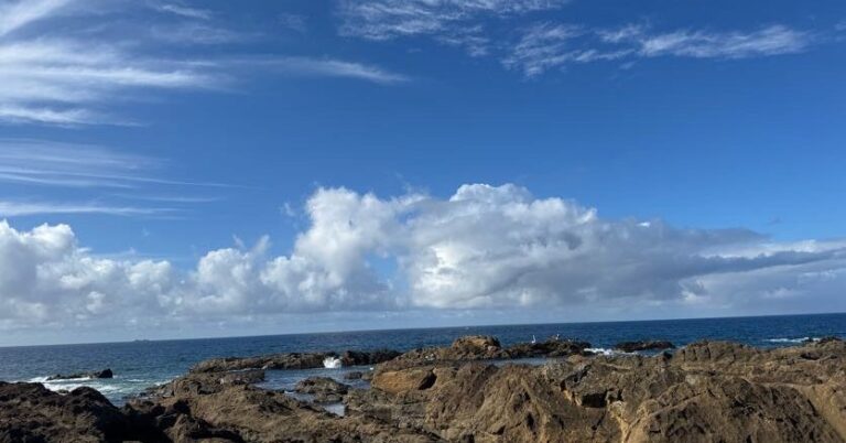 自然豊かな房総半島、ぐるりと走って巡る「房総半島1周300K」【後編】