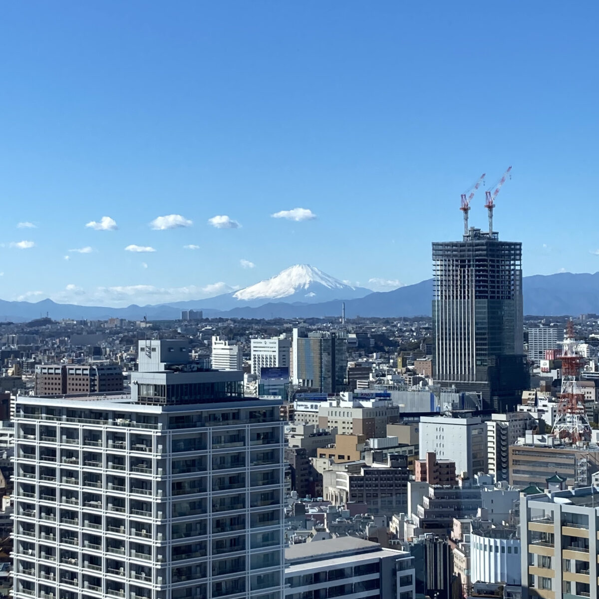 マリンタワーから富士山が見えました