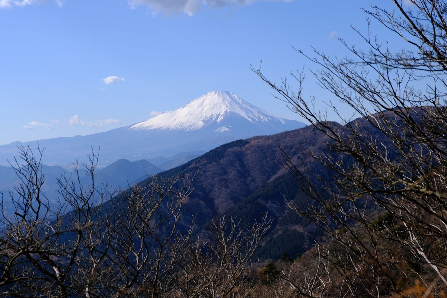 富士見台からみえた富士山