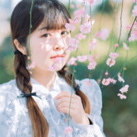 Akari