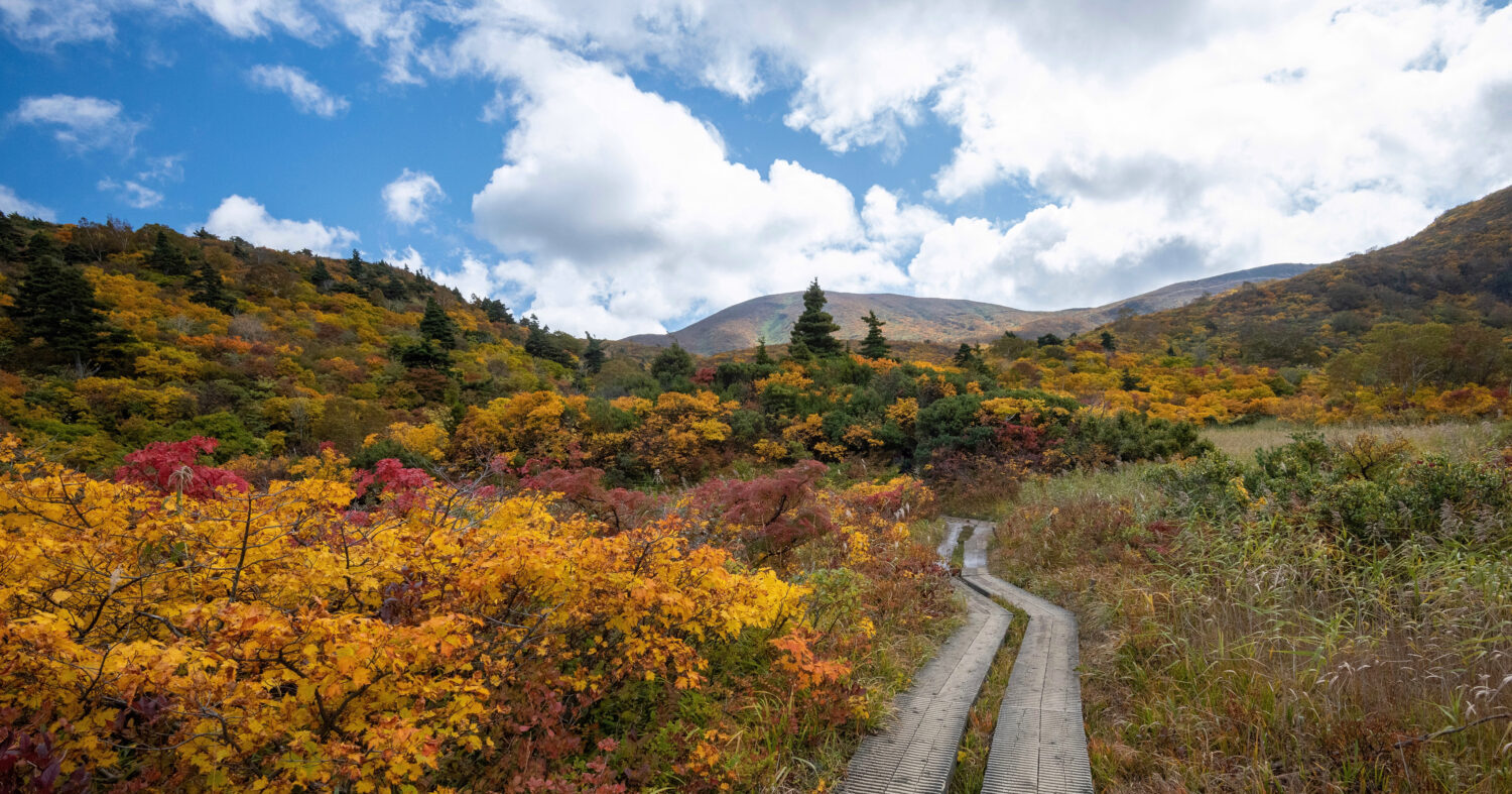 衝撃の絶景】秋田の紅葉名所3選！鳥海山・善神沼・栗駒山・安の滝で