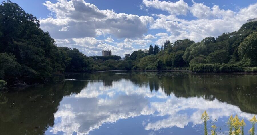 団地の真ん中にある野鳥たちの楽園「鶴ヶ谷中央公園」