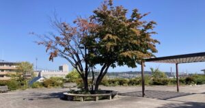 東西2エリアからなる老若男女憩いの場「八乙女中央公園」