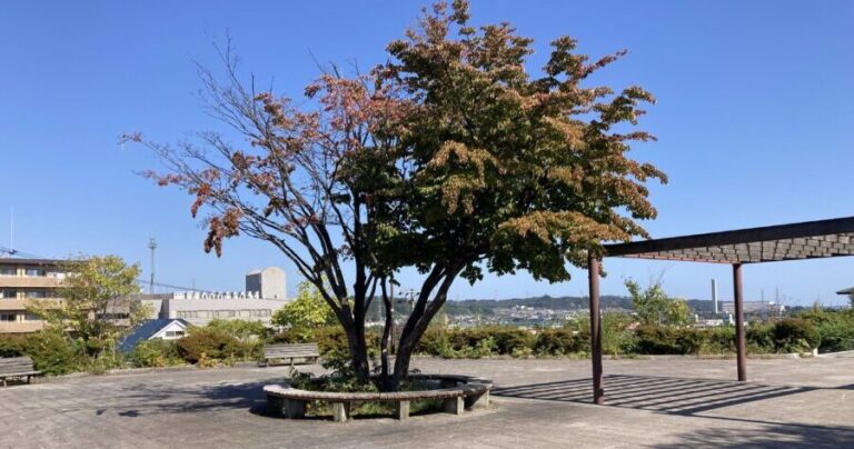 東西2エリアからなる老若男女憩いの場「八乙女中央公園」｜宮城県仙台市