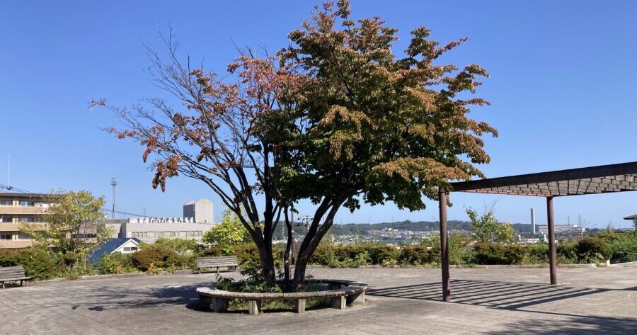 東西2エリアからなる老若男女憩いの場「八乙女中央公園」