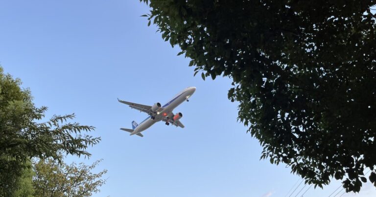 蛍が見れる散策スポット！とよなか百景にも選ばれた新豊島川親水緑道｜大阪府豊中市