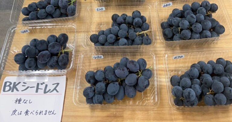 地元農家だからこそ届けられる旬の味覚と交流のひととき｜さなげマルシェの魅力