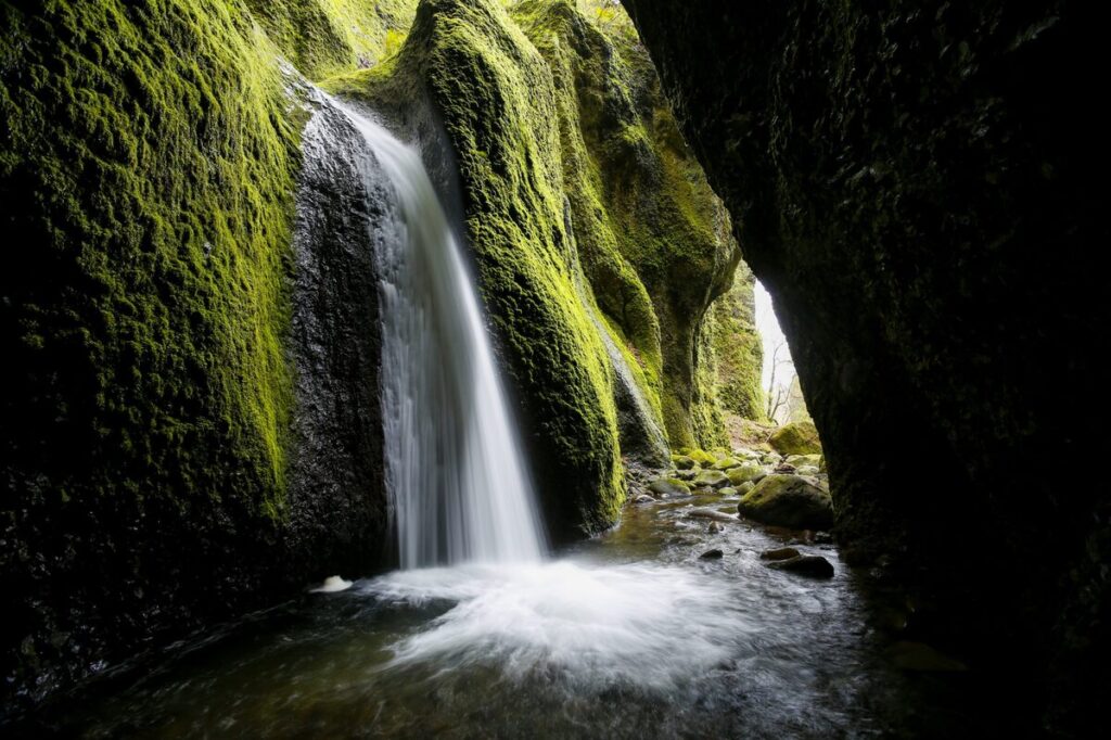 上山高原、シワガラの滝