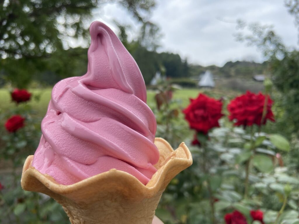 バラのソフトクリーム