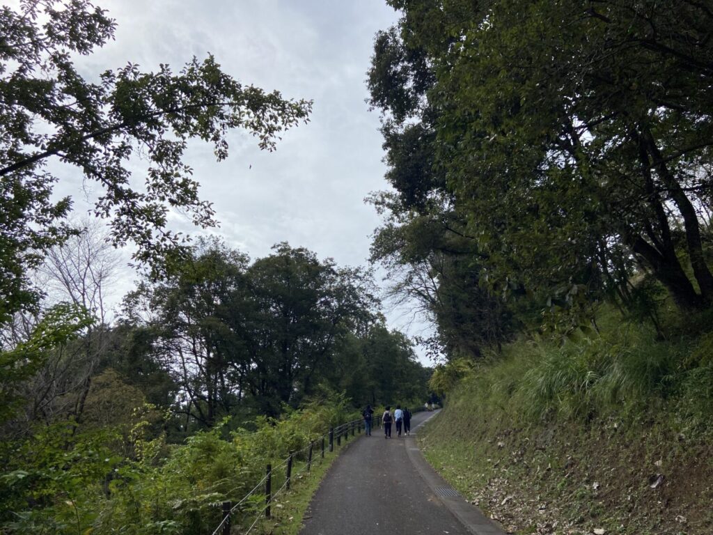 花やさと山の坂道