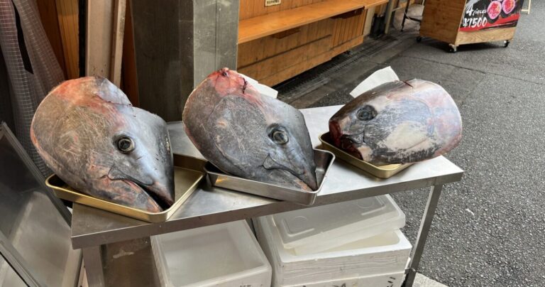 大阪ローカルでおいしくて新鮮な海鮮を食べるなら黒門市場はいかが？｜大阪府大阪市