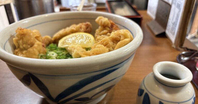 並で800g！？神戸の食べログ百名店「讃松庵」の 鶏天ぶっかけはコスパも美味しさも規格外