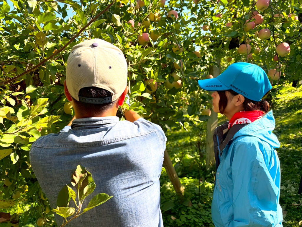 しらたかマルチワーク