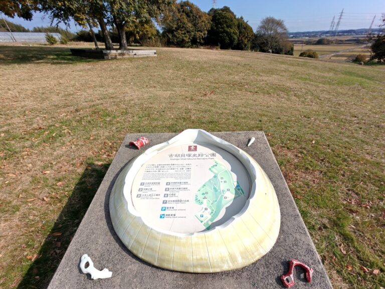 貝塚は巨大墓地だった？渥美半島の貝塚遺跡 ｜愛知県田原市
