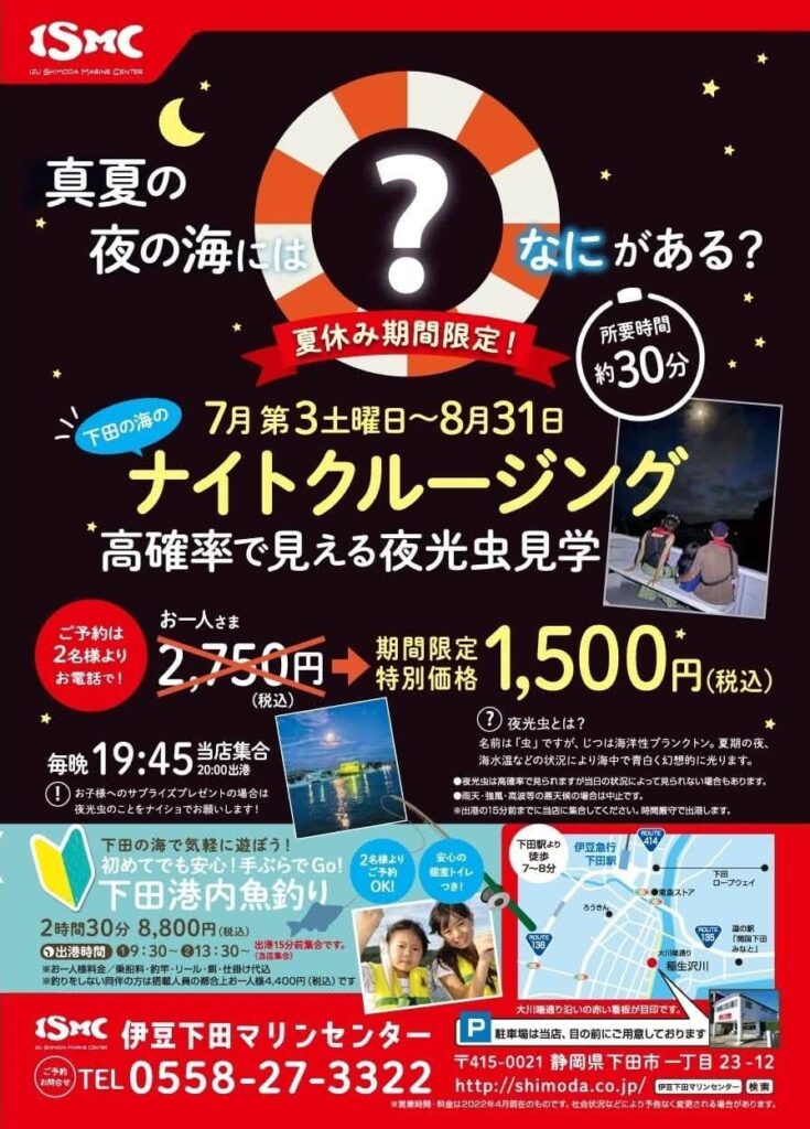 毎年人気、ナイトクルージングのポスター