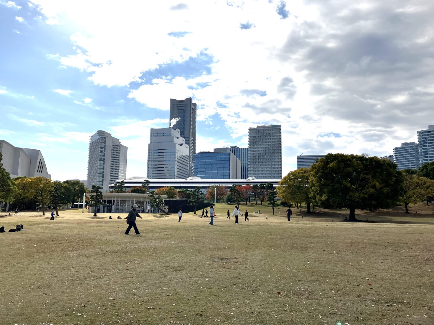 臨港パークの芝生広場の写真