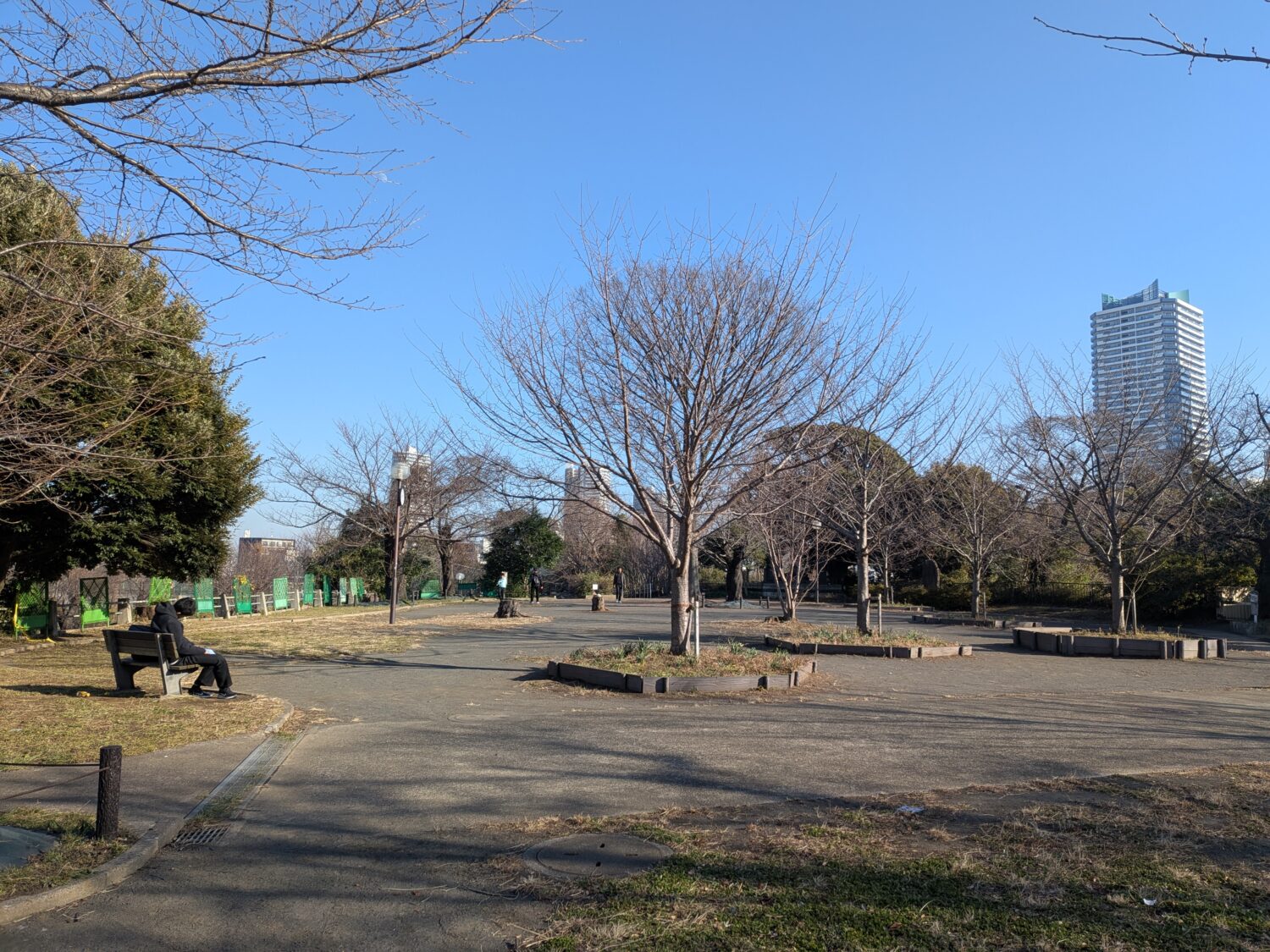幸ケ谷公園の様子
