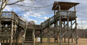 仙台市・富谷市・利府町にまたがる広大な敷地「宮城県県民の森」｜宮城県