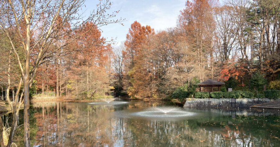 住宅街のオアシス！仙台市民が憩いを求める「貝ヶ森中央公園」｜宮城県仙台市