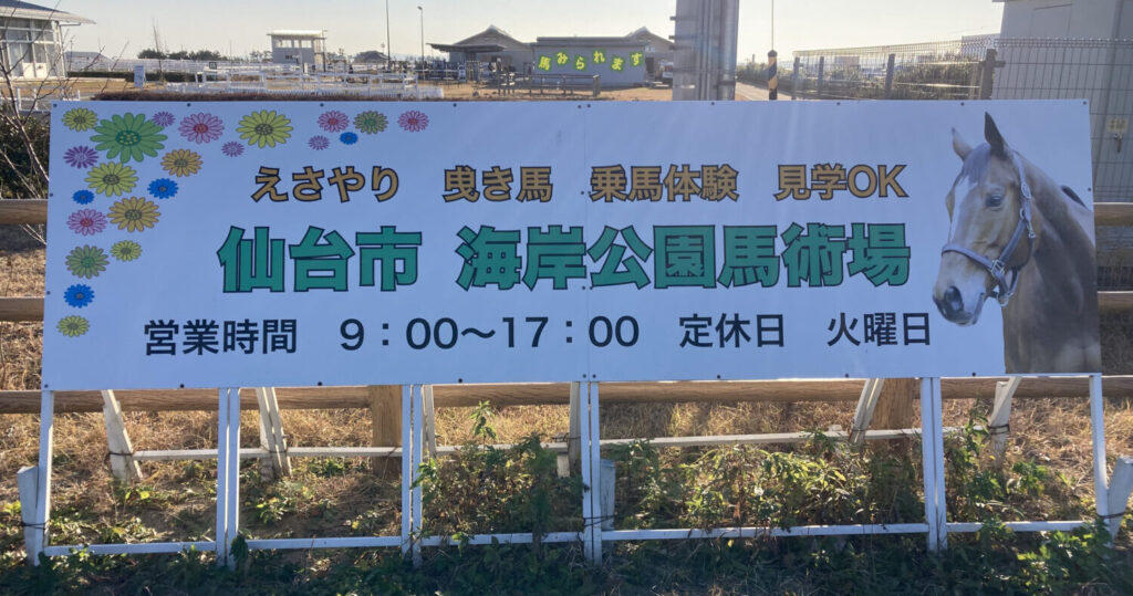 エサやりから乗馬体験まで！気軽に馬と触れ合える「海岸公園馬術場」｜宮城県仙台市