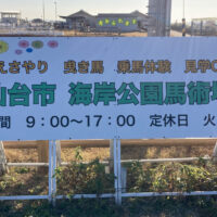 エサやりから乗馬体験まで！気軽に馬と触れ合える「海岸公園馬術場」｜宮城県仙台市