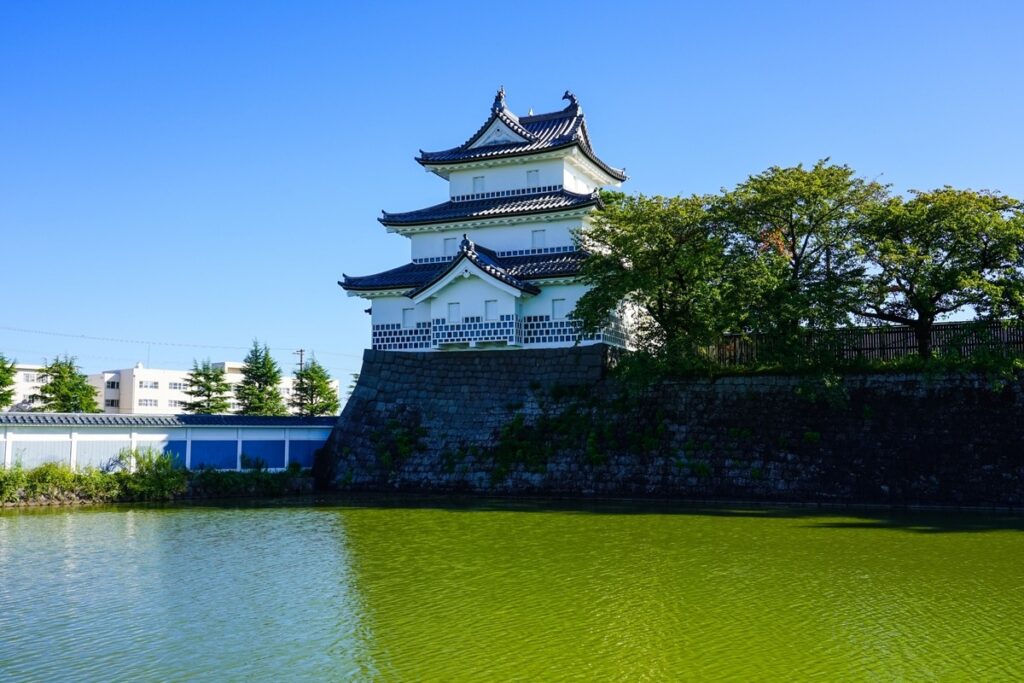 青空の下に城と堀があり、手前には池が写っています。城の横には青葉が付いている桜の木が生えています。